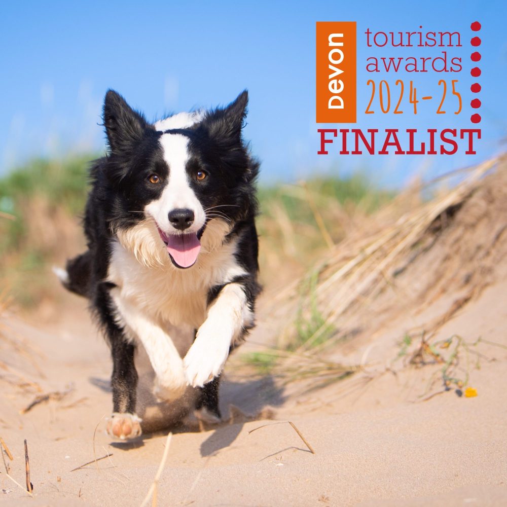 Devon Tourism Awards Dog Friendly Business of the Year 2